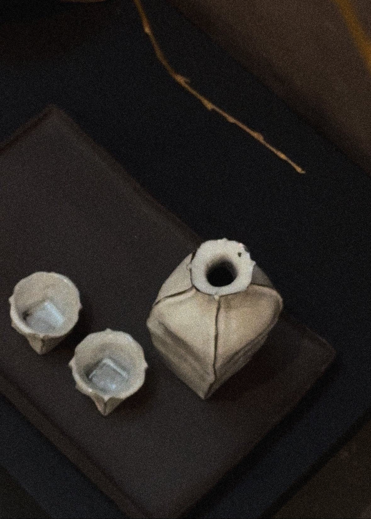 Winter Bloom Sake Set